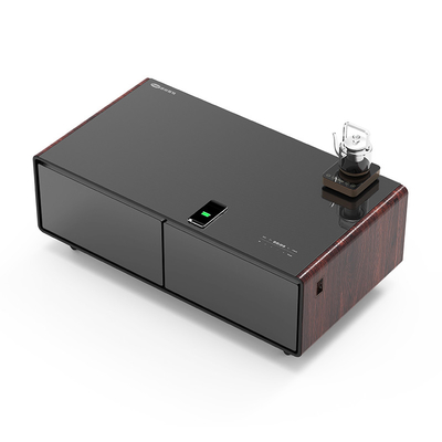 60W パワー スマート 冷蔵庫 ワイヤレス充電 USBとダブル温度ゾーン