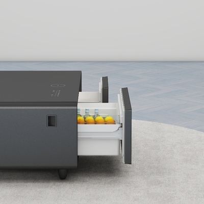 現代の豪華家具 無線充電とUSB冷蔵庫の 65L容量冷蔵庫