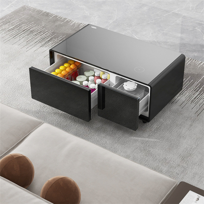 PRIMST ミニ 冷蔵庫 コーヒーテーブル 冷蔵庫 究極の環境にやさしい家具